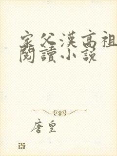 家父汉高祖全文阅读小说