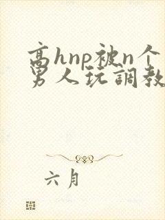 高hnp被n个男人玩调教