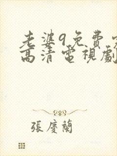 老婆9免费完整高清电视剧在线封面