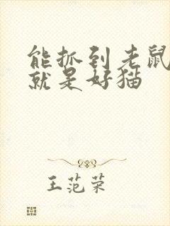 能抓到老鼠的猫就是好猫