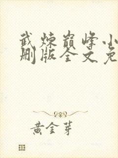 武炼巅峰小说未删版全文免费阅读