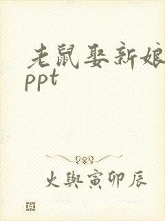 老鼠娶新娘绘本ppt