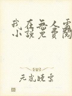 我在无人处爱你小说免费阅读全文封面