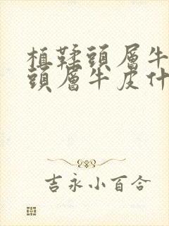 植鞣头层牛皮和头层牛皮什么区别