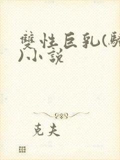 双性巨乳(骚受)小说