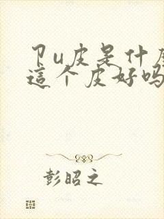 卩u皮是什么皮这个皮好吗封面