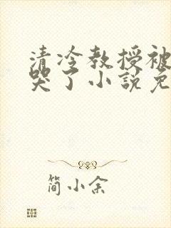 清冷教授被欺负哭了小说免费阅读