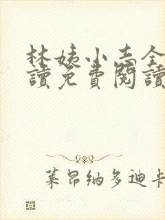林姨小志全文阅读免费阅读封面