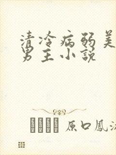 清冷病弱美人双男主小说封面