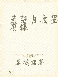 叶楚月夜墨寒怎么样