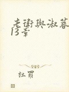 老卫与淑蓉小说13章