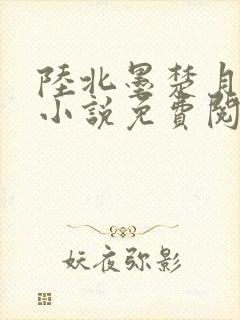 陆北墨楚月离的小说免费阅读无弹窗