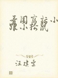 看图写话小兔子跟小松鼠