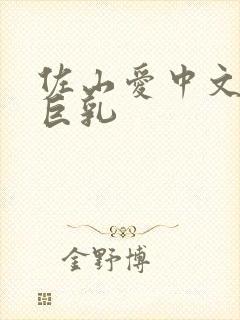 佐山爱中文人妻巨乳封面