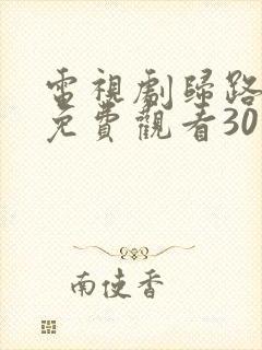 电视剧归路全集免费观看30集高清