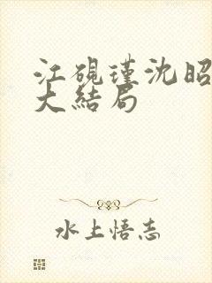 江砚瑾沈昭小说大结局封面