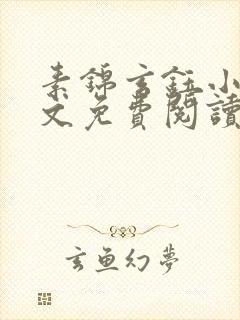 素锦玄钰小说全文免费阅读