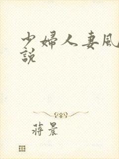 少妇人妻风流小说