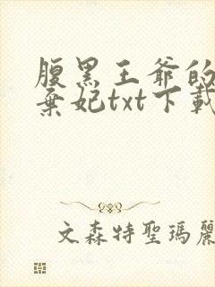 腹黑王爷的绝色弃妃txt下载