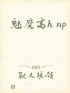魅魔高h np