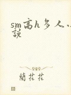 sm高h多人小说封面