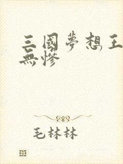 三国梦想王元姬无惨