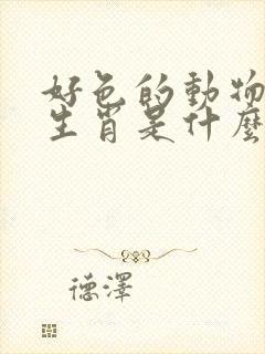 好色的动物十二生肖是什么生肖