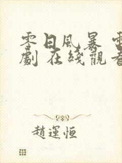 零日风暴 电视剧 在线观看