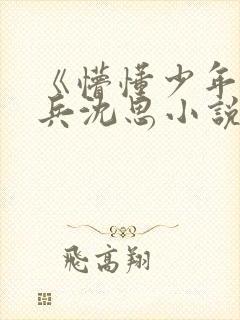 《懵懂少年》李兵沈思小说