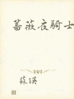 蔷薇夜骑士