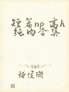 短篇np 高h 纯肉合集