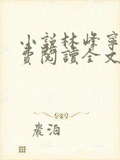 小说林峰宁欣免费阅读全文无弹窗