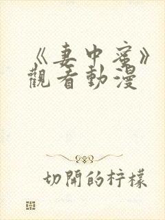 《妻中蜜》免费观看动漫