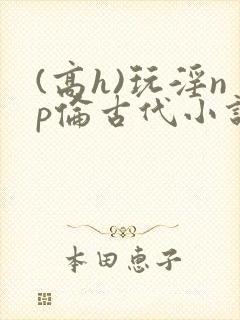 (高h)玩淫np伦古代小说