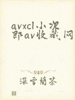 avxcl小次郎av收藏网封面