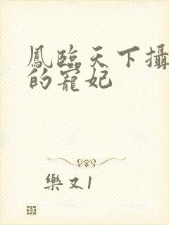 凤临天下摄政王的宠妃