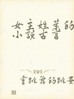 女主姓叶的穿越小说古言