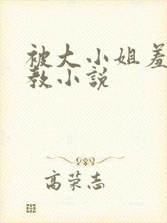被大小姐羞耻调教小说
