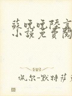 苏晚晚陆言深的小说免费阅读