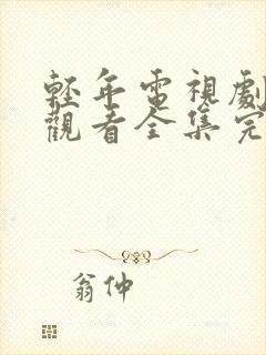 轻年电视剧免费观看全集完整版