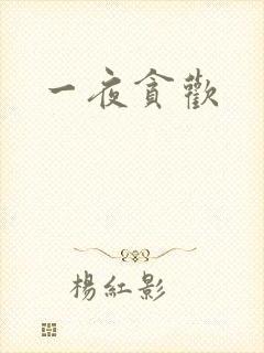 一夜贪欢