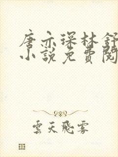 唐亦琛林舒温晴小说免费阅读无弹窗