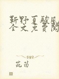 靳野夏骏风小说全文免费阅读正版