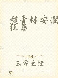 赵青林安澜隐龙狂枭封面