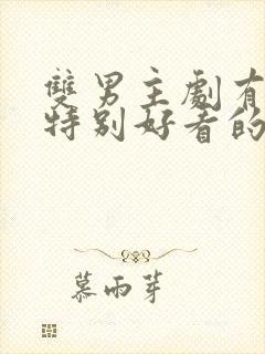 双男主剧有哪些特别好看的