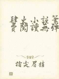 肆火小说笔趣免费阅读无弹窗