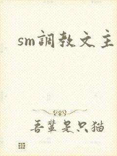 sm调教文主奴封面