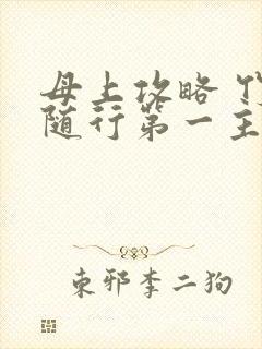 母上攻略 竹影随行第一主板