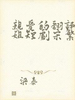 亲爱的翻译官小姐短剧宋繁星