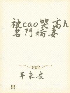 被cao哭高h名门娇妻封面